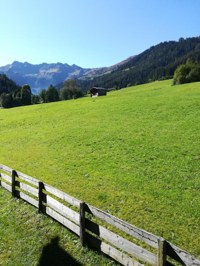 Hacklstoana * Alpbach