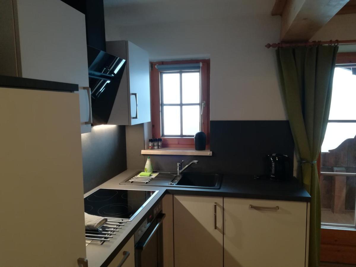 Apartment Hacklstoana *